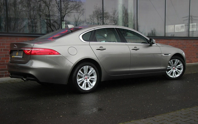 Jaguar XF cena 125990 przebieg: 23000, rok produkcji 2018 z Łasin małe 781